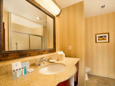 Hampton And Airport Hotel San Antonio